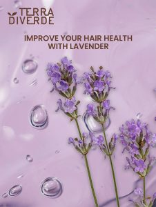 Terra Diverde Conditioner Daily