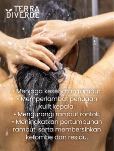 Terra Diverde Daily Shampoo