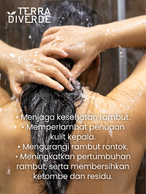 Terra Diverde Daily Shampoo